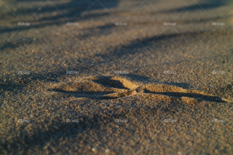 Traces in the sand at sunset on the sandy beach of Karlshagen on the island of Usedom in Germany | Spuren im Sand bei Sonnenuntergang am Strand von Karlshagen auf der Insel Usedom in Deutschland