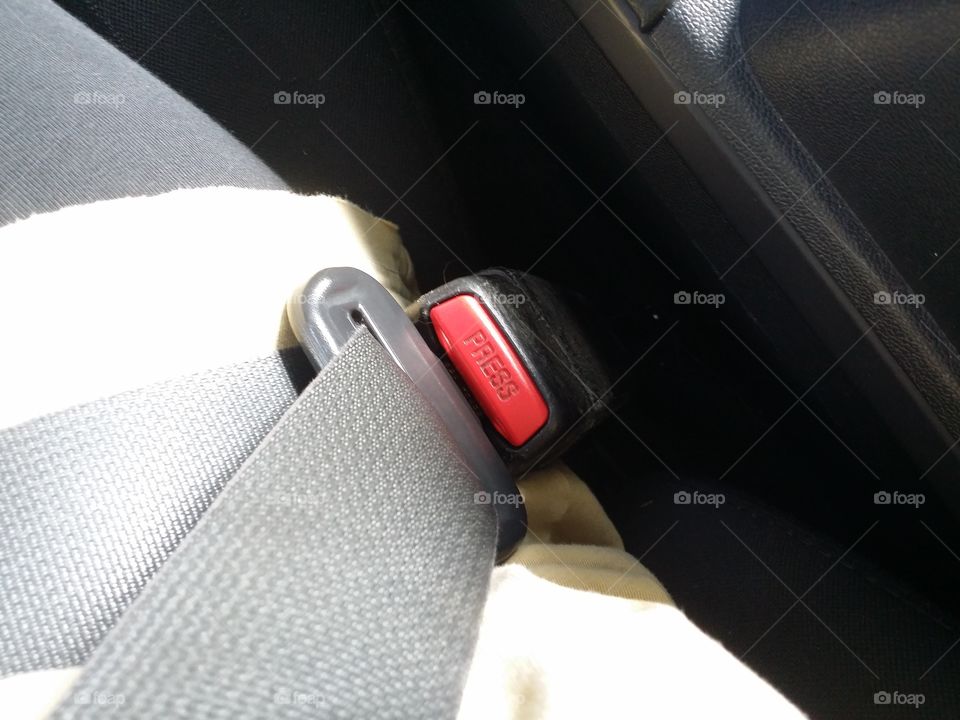 Seat Belt