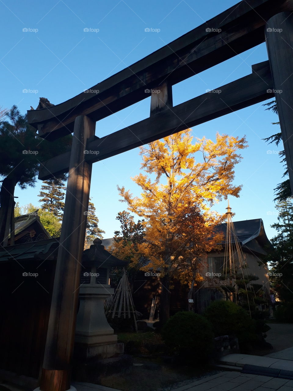 日本にある上杉神社の秋