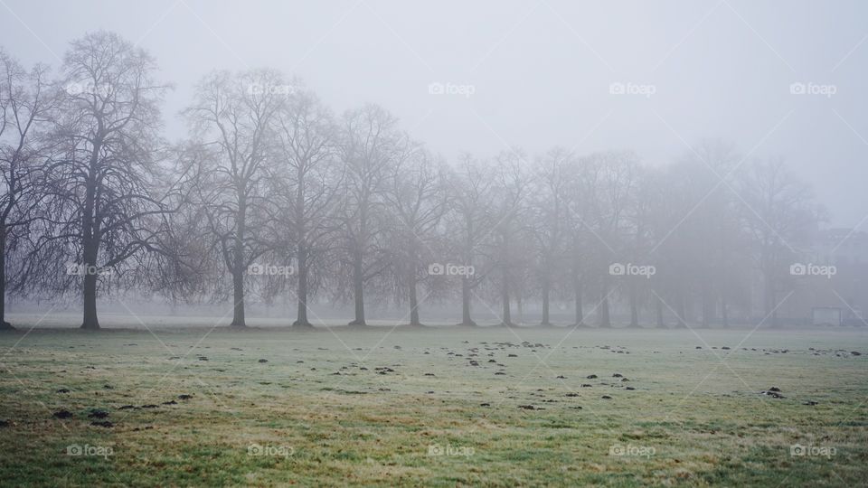 A foggy morning in Antwerp