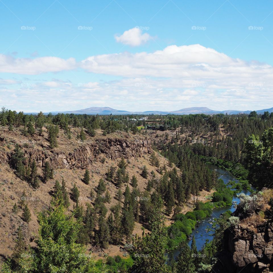 The brilliant blue Deschutes River with bright green trees and bushes on its banks in Central Oregon meanders through a deep canyon with large boulders, trees, and rock ledges on a beautiful summer morning. 