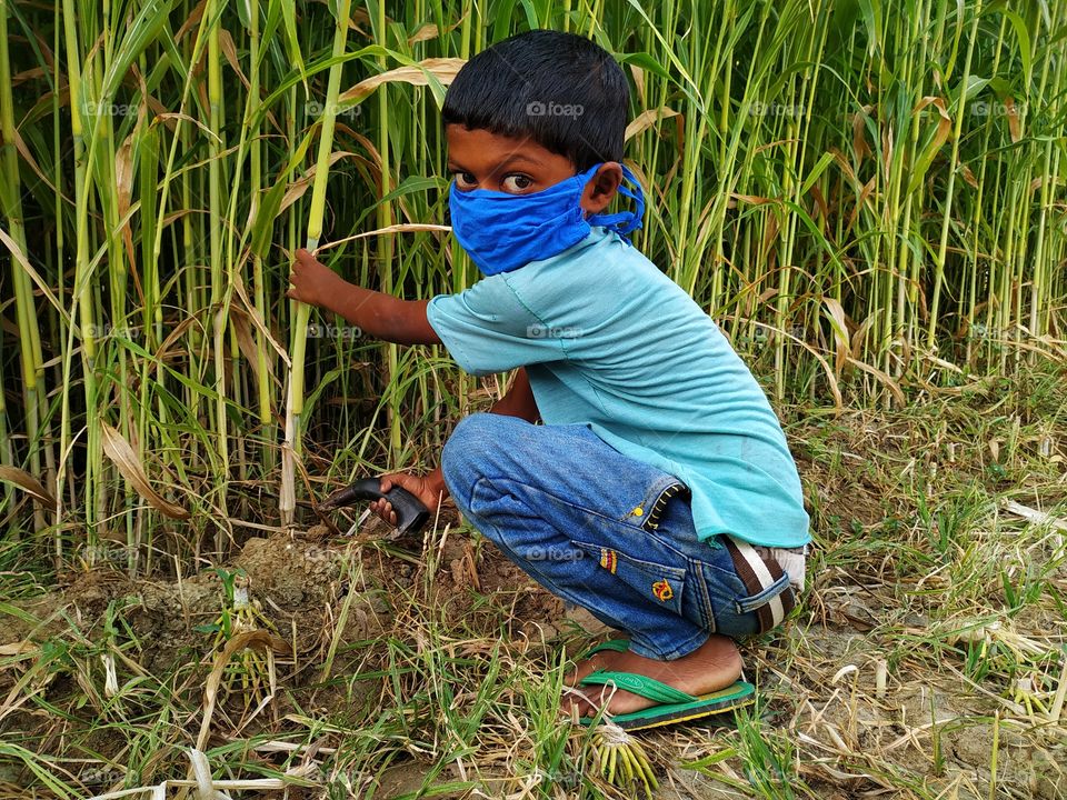 Farmer's boy cutting fodder in the field,wear facemask during coronavirus and flu outbreak. Virus and illness protection