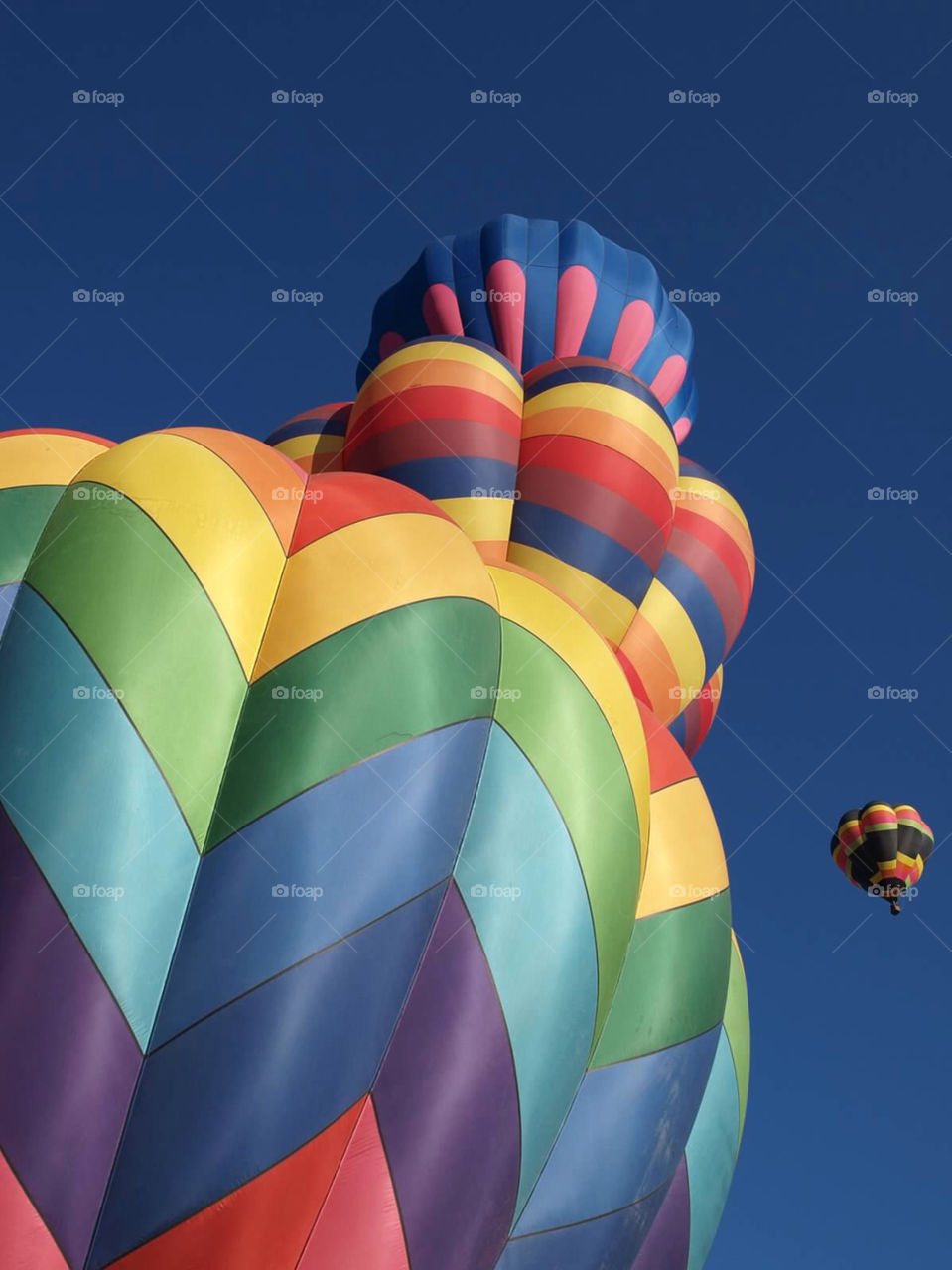 balloons festival colorado by ezdrossi