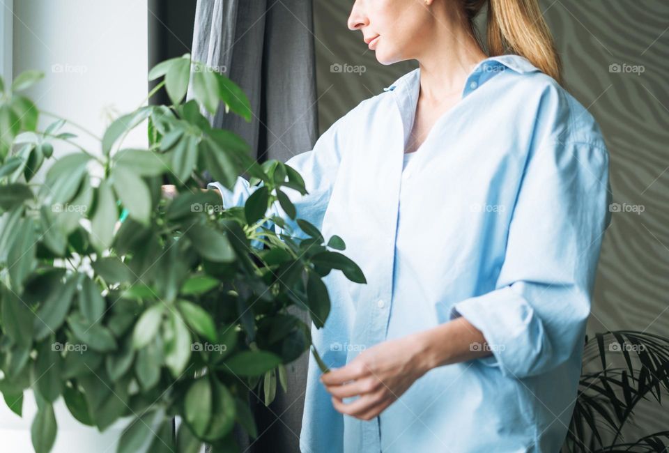Young woman in blue shirt with spray with water in hands takes care of houseplant in room at home