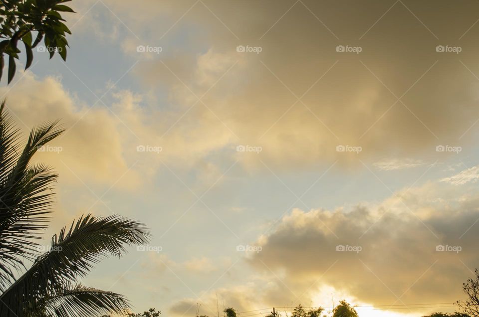 Evening Sunlight On The Clouds