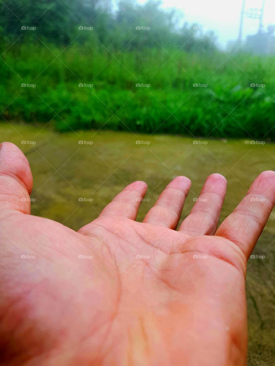 i want greenery
go green environment