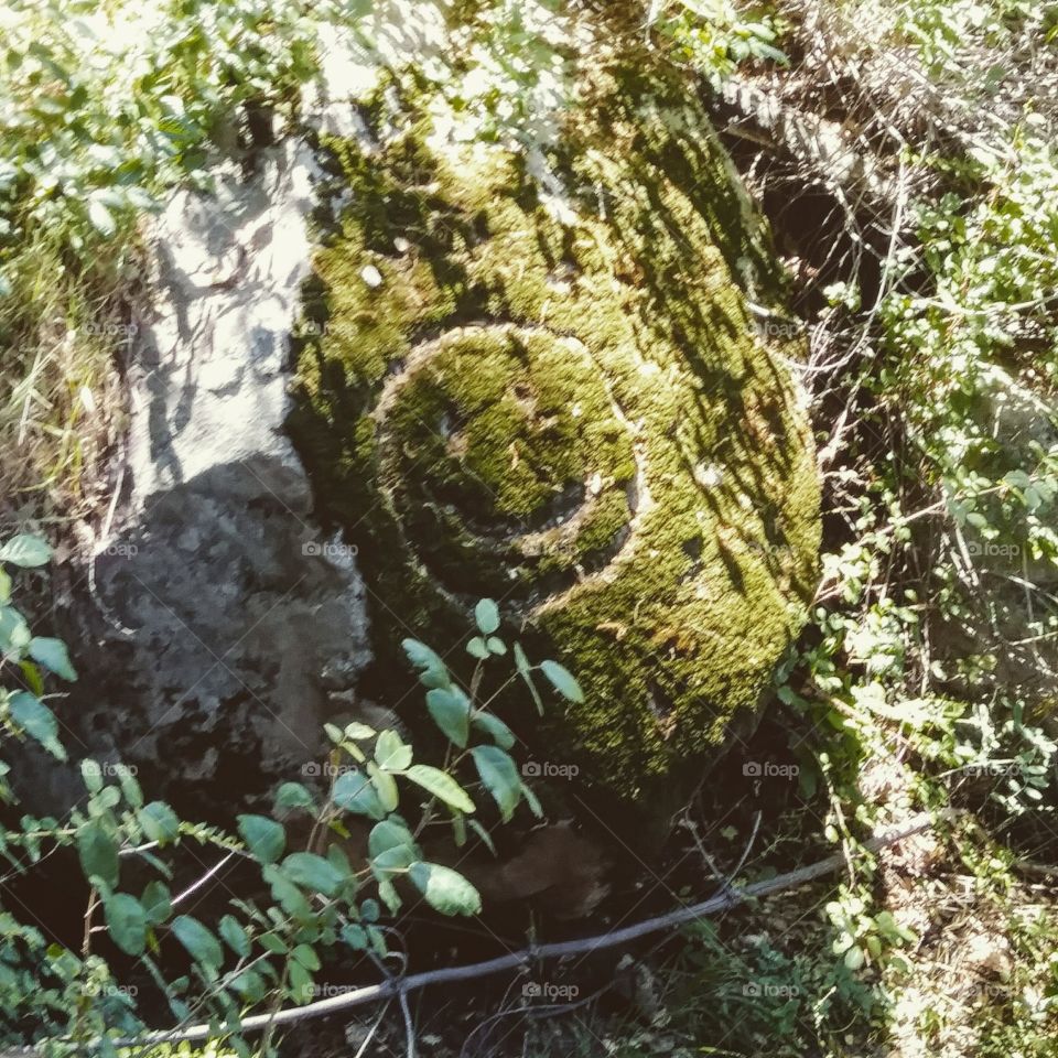 Happy face hiking trail