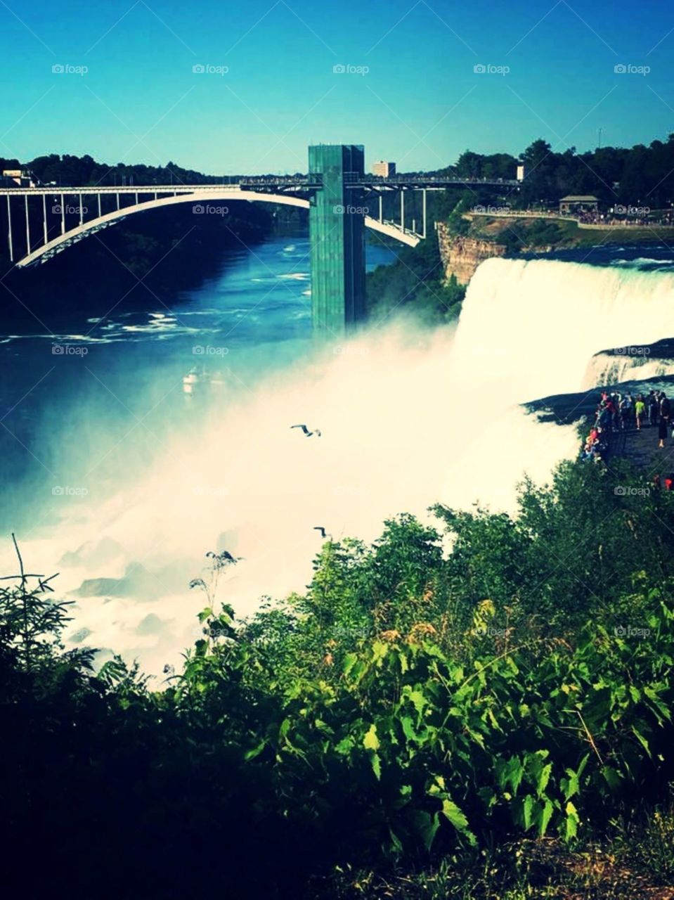 Niagara Falls with birds flying peacefully overhead 