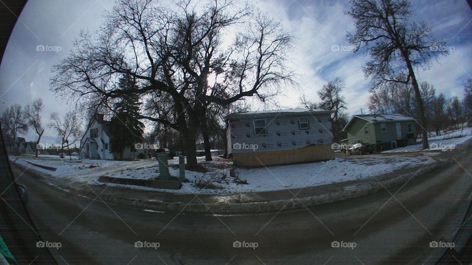 Winter, Weather, Snow, Storm, Tree