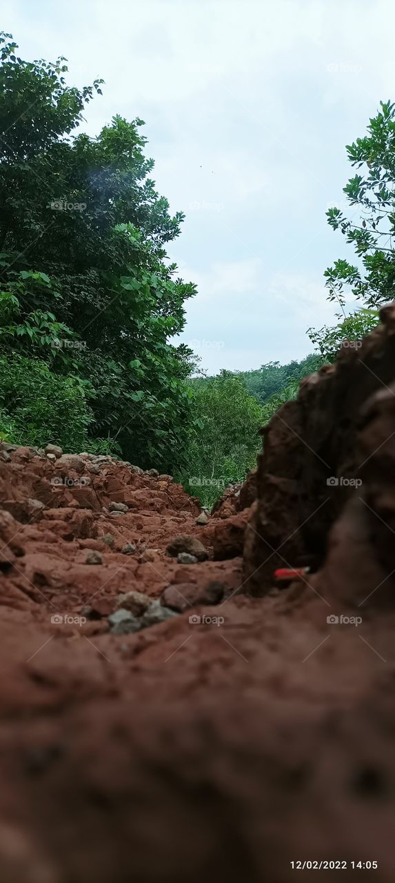 journey to nature.  full of green