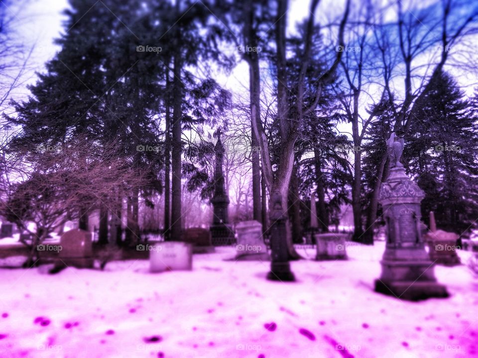 Mount Royal cemetery Montreal 