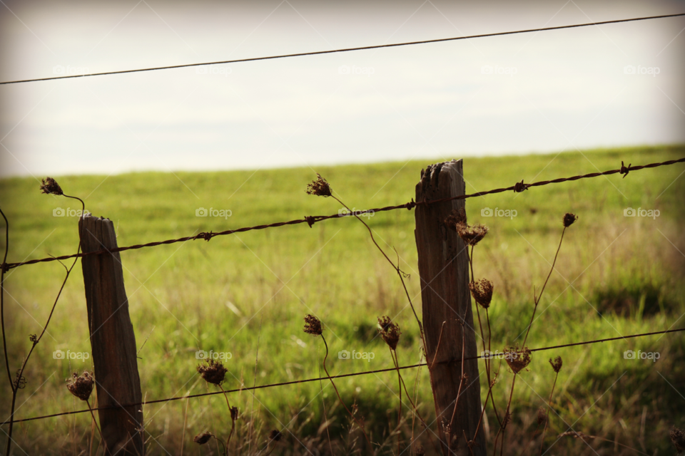 Old Farm Fence