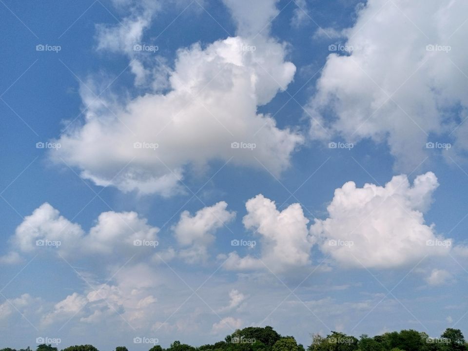 clouds like cotton in sky