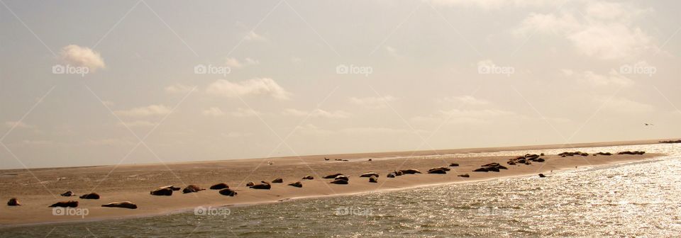 At the seaside