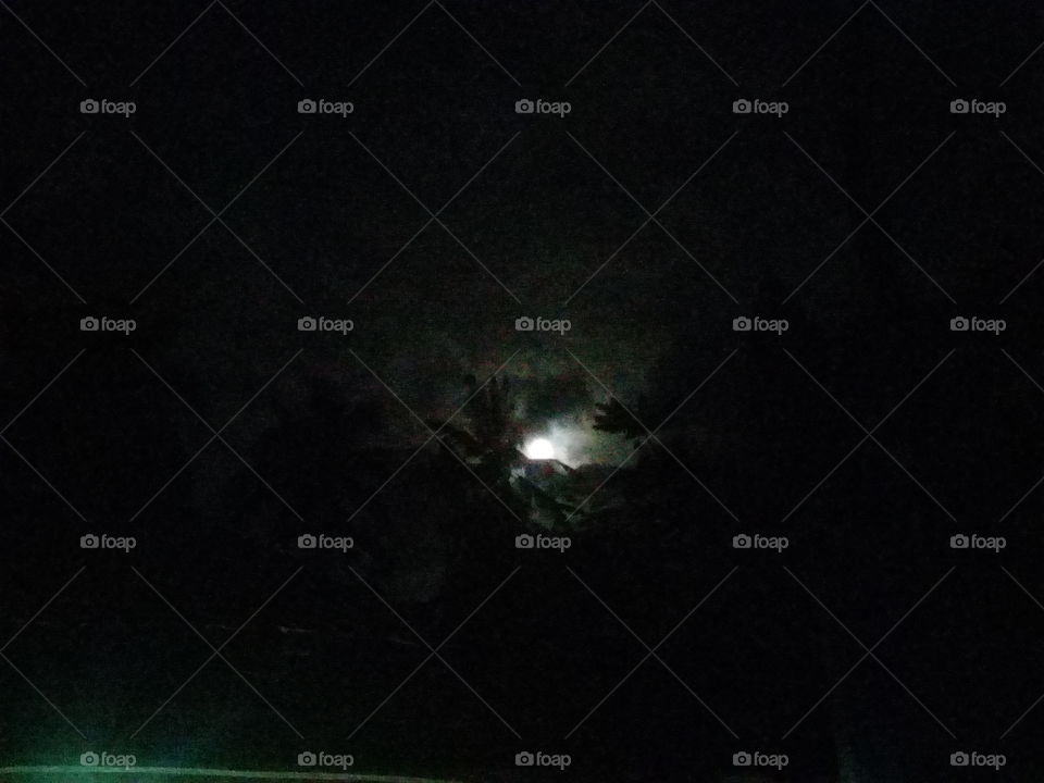 moon & trees