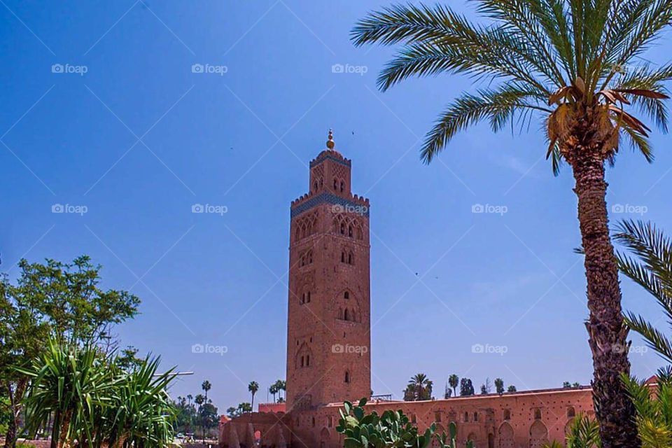 Koutoubia Mosque.

Located near the Djemaa el Fna, the Koutoubia Mosque is the largest mosque in Marrakesh. It is famed especially for its magnificent minaret, the oldest of the three great Almohad minarets remaining in the world.