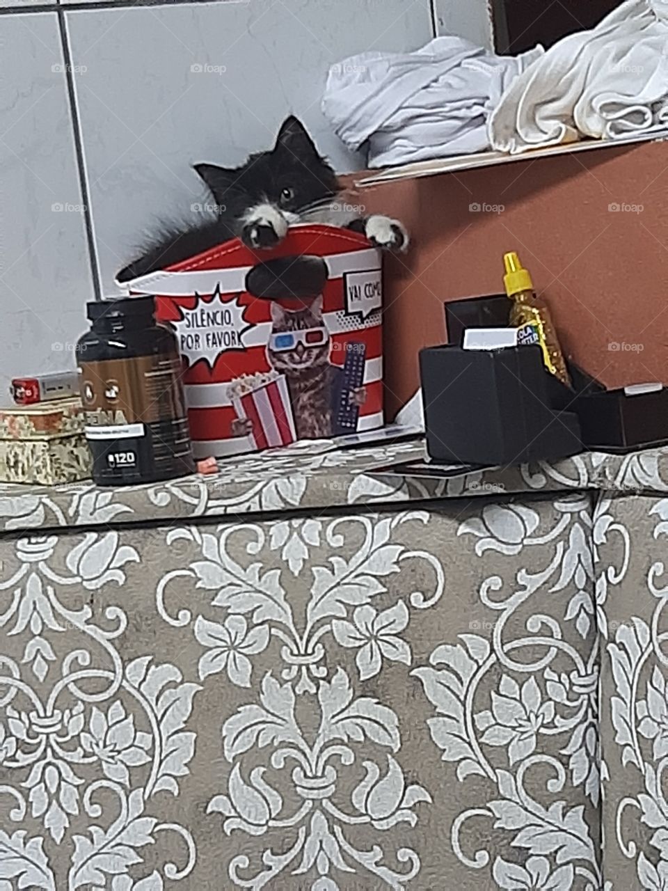 Acho que vi um gatinho.