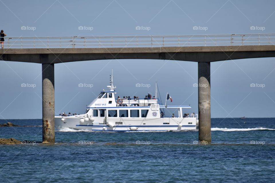 A bist and a bridge with sea and horizon 