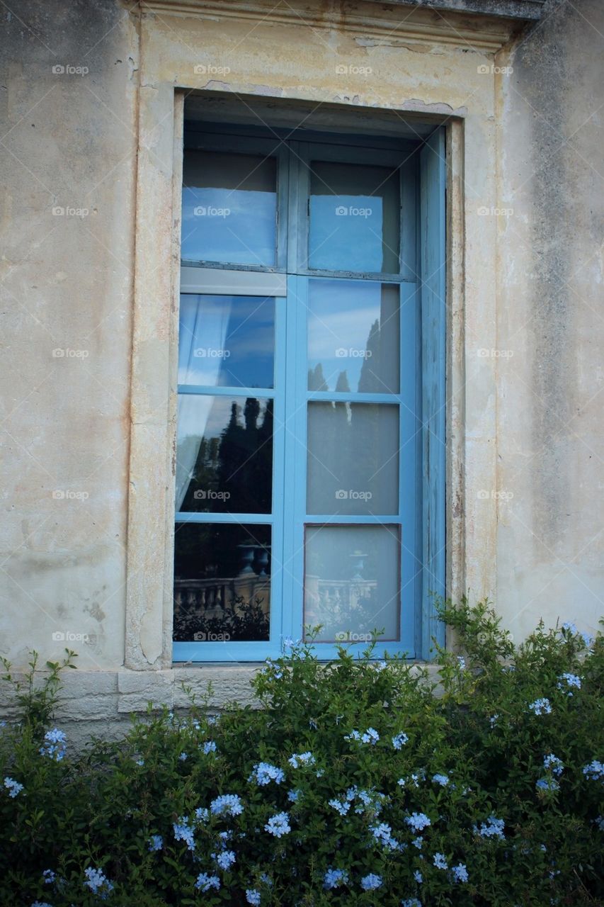 Blue Window