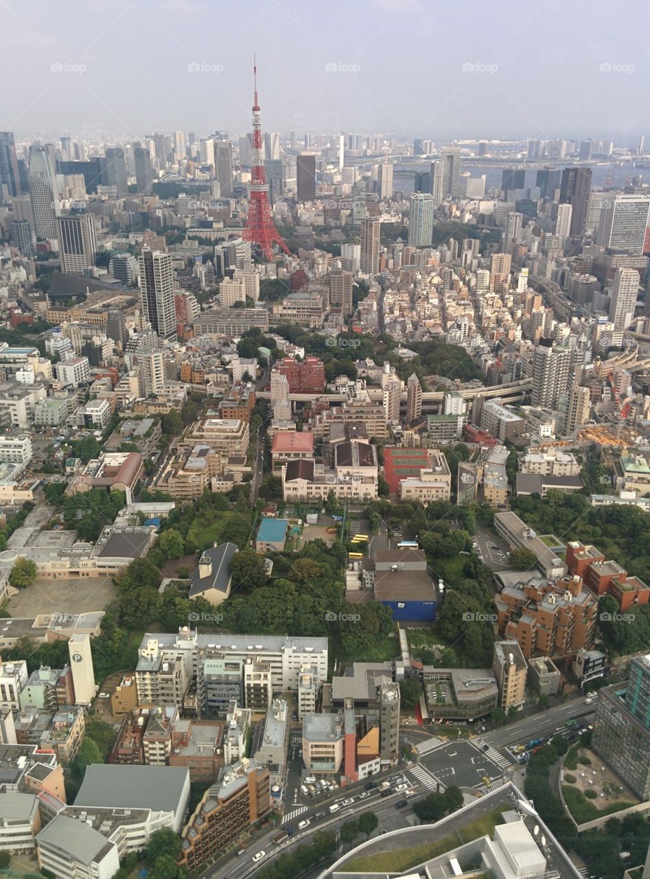 Tokyo Japan from Mori Tower