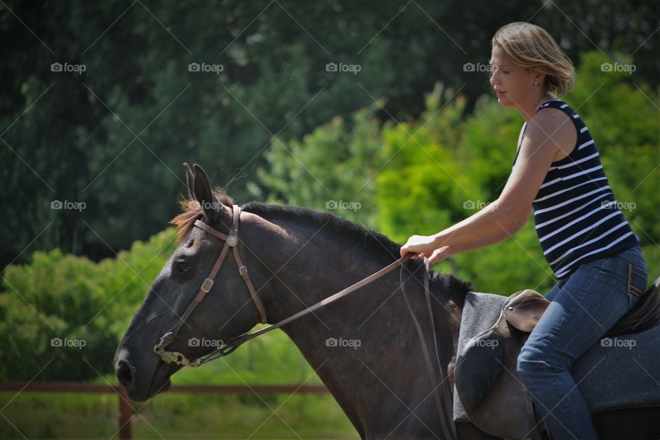 Horse, Cavalry, Mammal, People, One