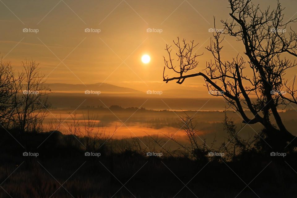 Watch the best exclusive photo of the beauty of nature, buy now, taken | by Abdul Rahman