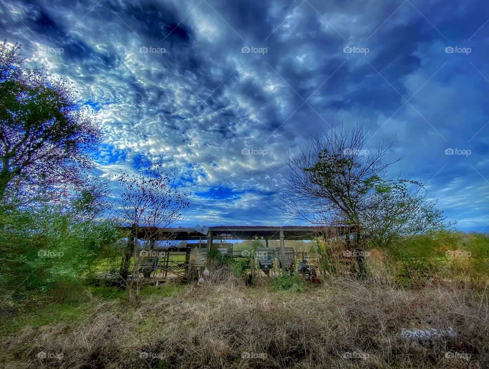 Abandoned Shed 1