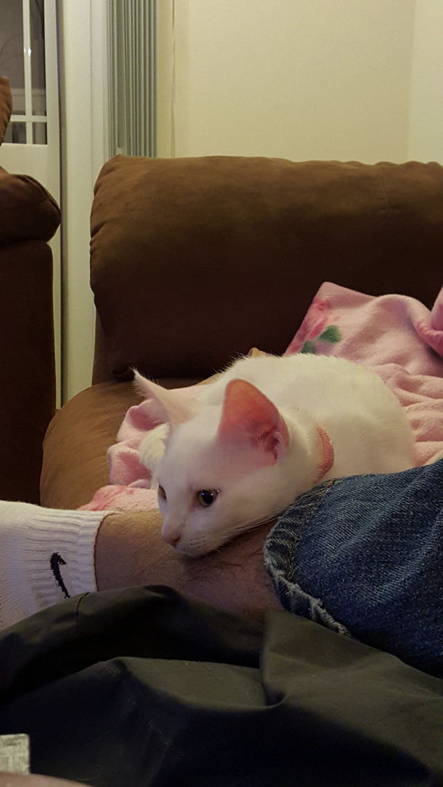 Relaxing time