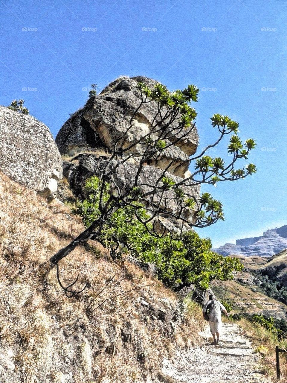 Majestic mountain five