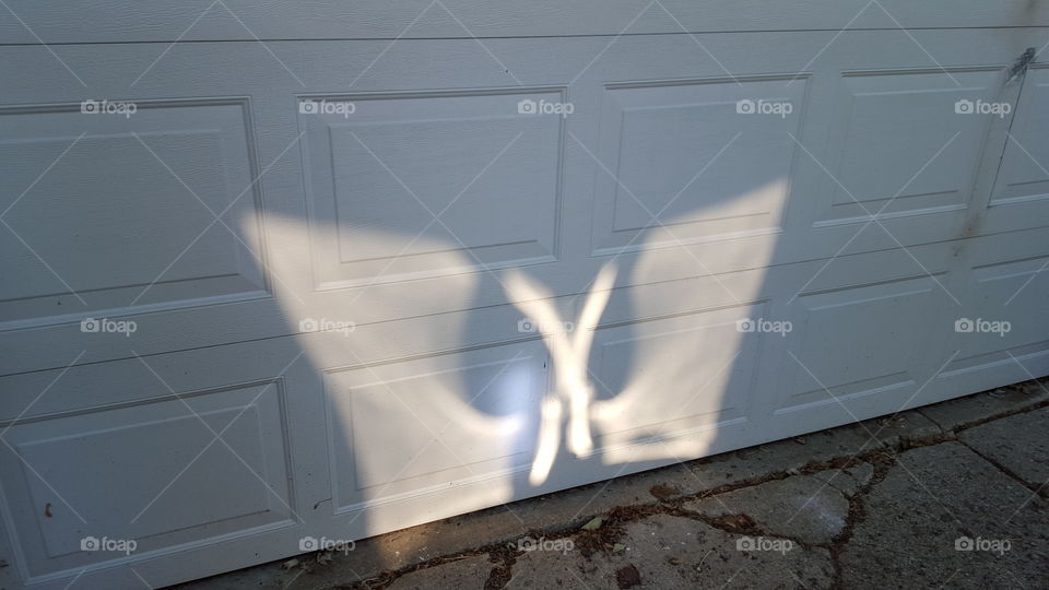 Butterfly on the garage door created by the sun shining through a basketball backboard