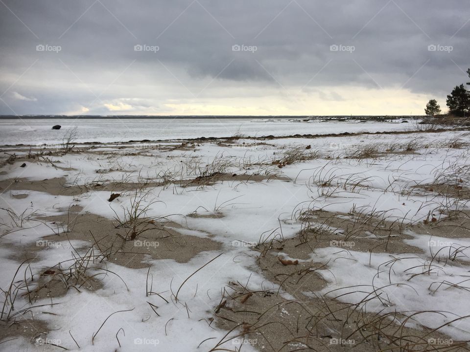 Beach at Vita Sand, Kalmar in February