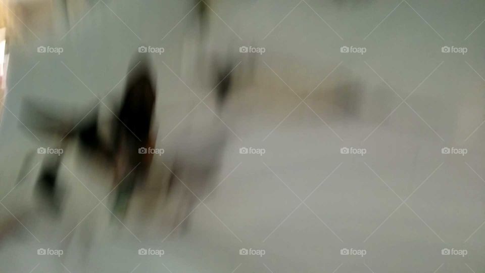 Blur, Bird, Abstract, Nature, No Person