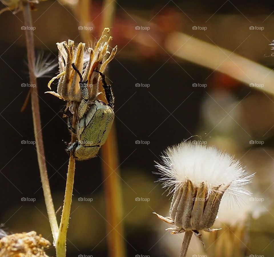 Haciendo el pino
Doing the pin