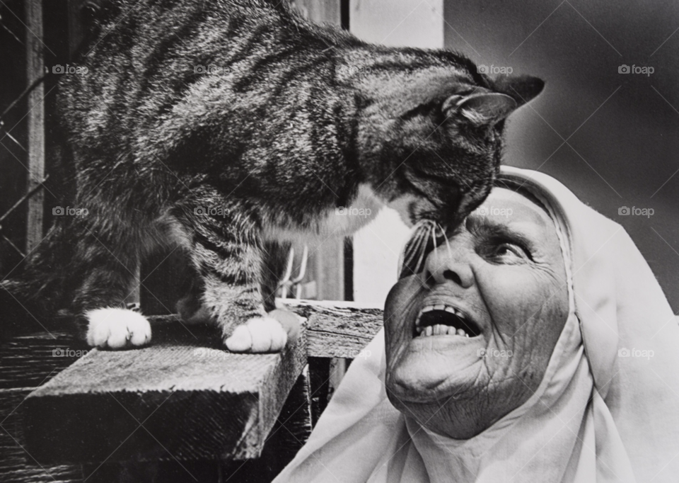 arizona. sister seraphim greets one of the thirty stay cats she feeds and cares for. sister seraphim. in tucson by arizphotog