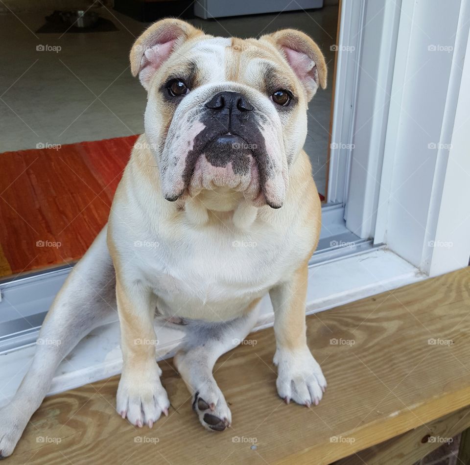 Sitting on the stoop
