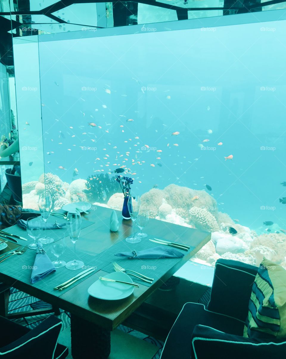 underwater restaurant 