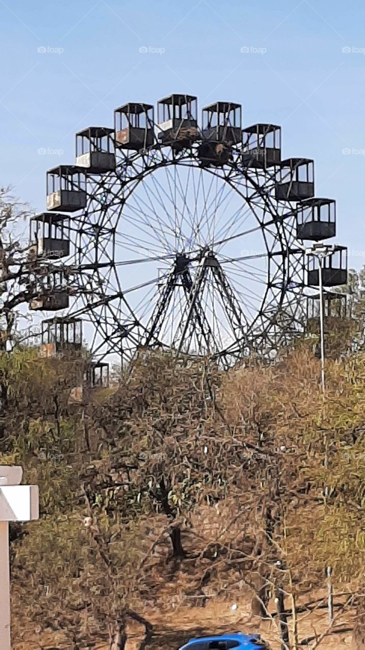 Armando the world rust