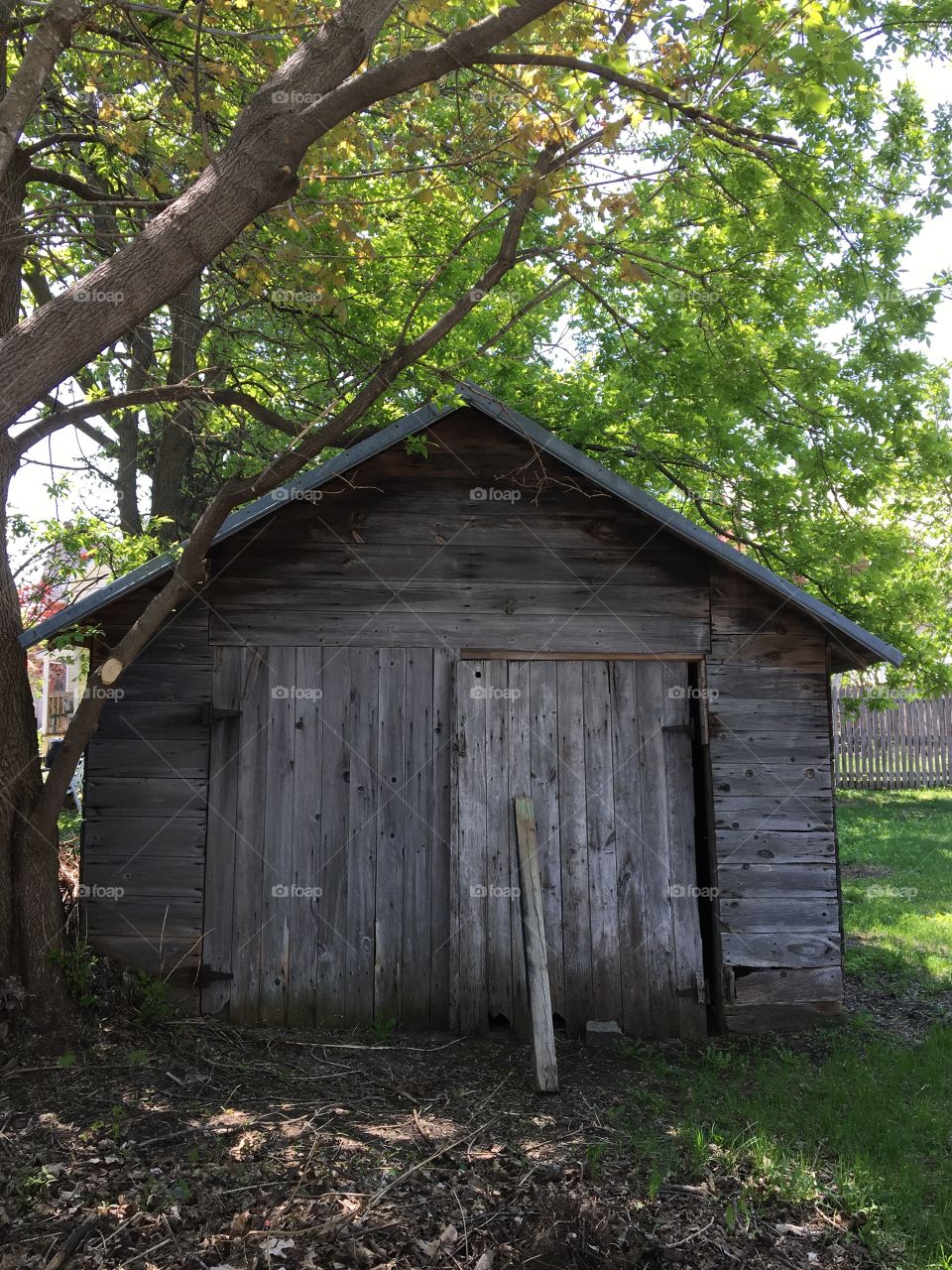 Old wooden shed