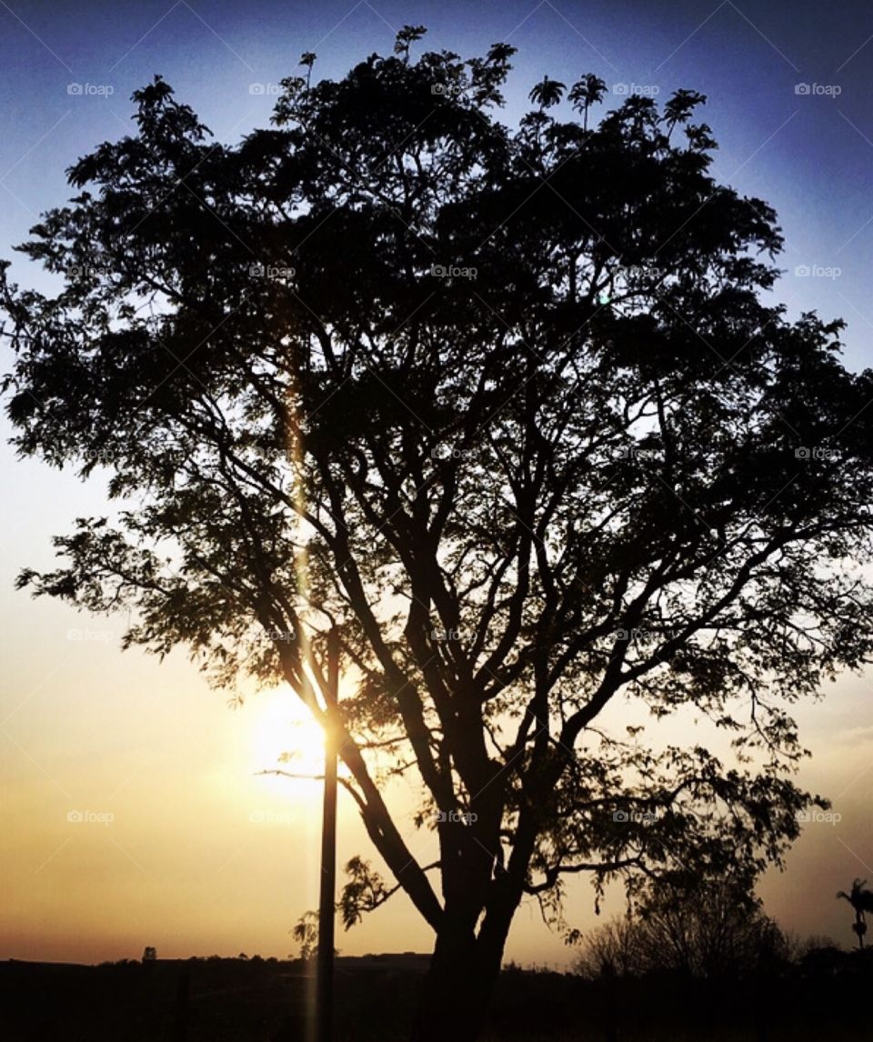 🌄🇺🇸 An extremely beautiful dawn in Jundiaí, interior of Brazil. Cheer the nature! / 🇧🇷 Um amanhecer extremamente bonito em Jundiaí, interior do Brasil. Viva a natureza!