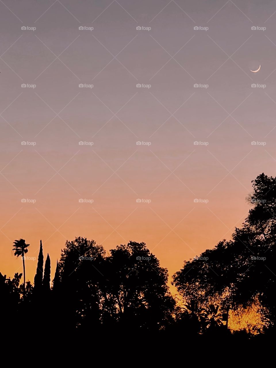 Beautiful sunset in Los Angeles California 