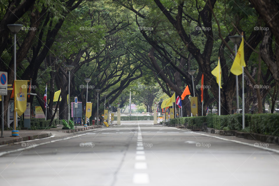 Road cover with tunnel tree