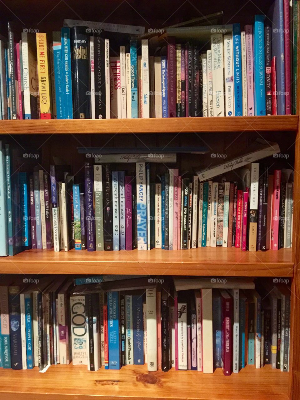 Books on the shelves 