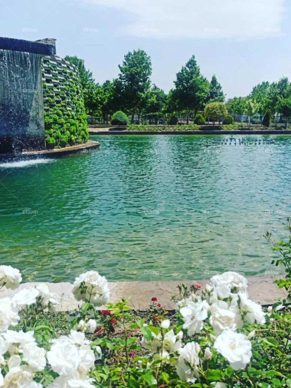 This park, shows the magic and beauty of water