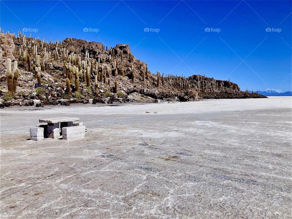 The “Uyuni Salt Flat” in “Bolivia” covers 4.248 squ miles. In a desert no plant can grow. However, in its center on the “Isla Incahuasi”, a former island cactuses grow 10 meters tall at a rate of 1 cm per year. Amazing. 2022. Hypnotic Productions