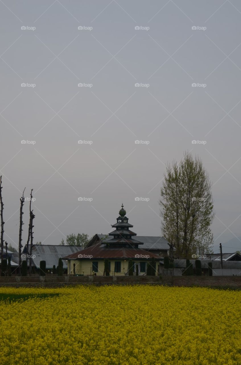 No Person, Landscape, Sky, Tree, Outdoors