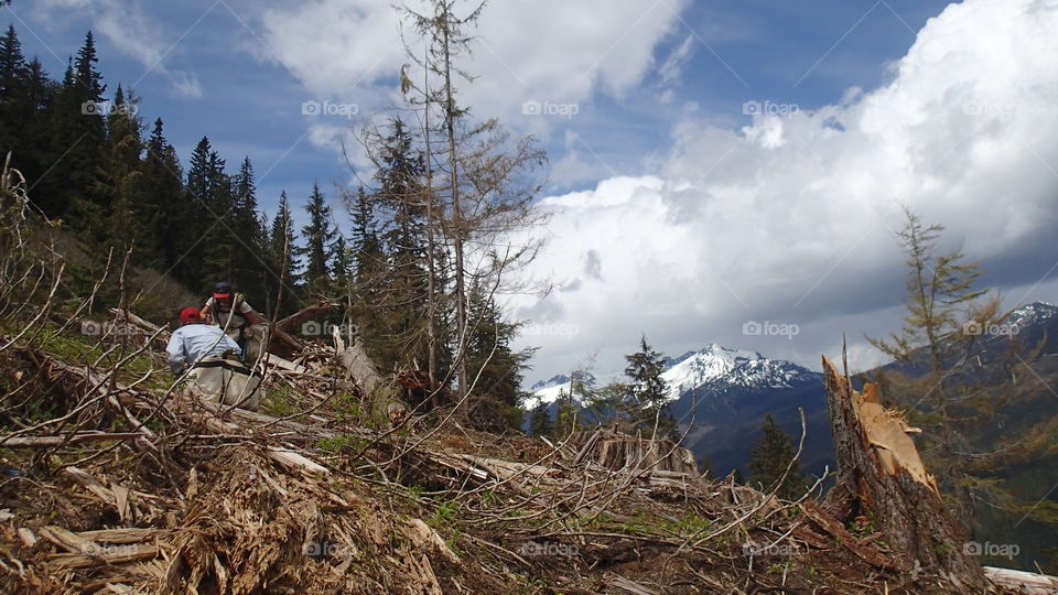 Treeplanting at its best. 