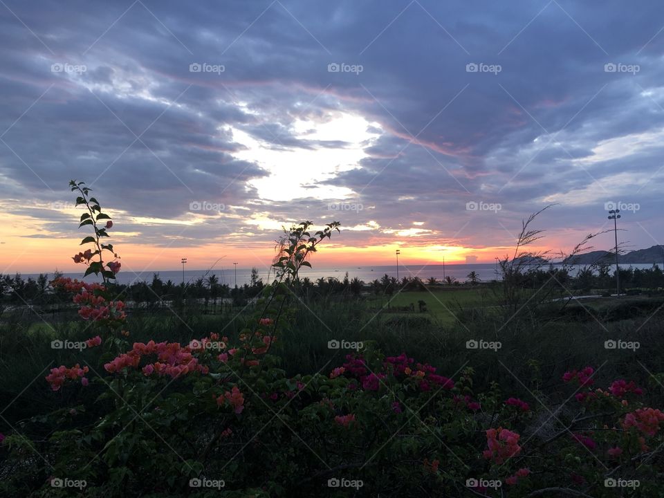 Dawn, red confetti on Phu Quoc island