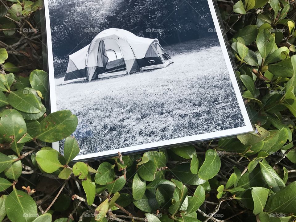 Creative photography : a tent photo in a bush 