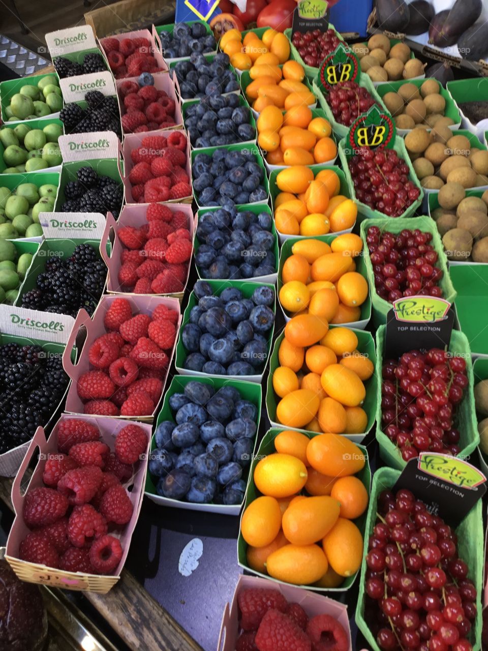 Fruity fruits - Variety of fresh fruit - Fruits are some of the most interesting subjects to shoot in photography. They are naturally attractive, colorful, and full of texture. Remember to eat all types of fruits to keep healthy.