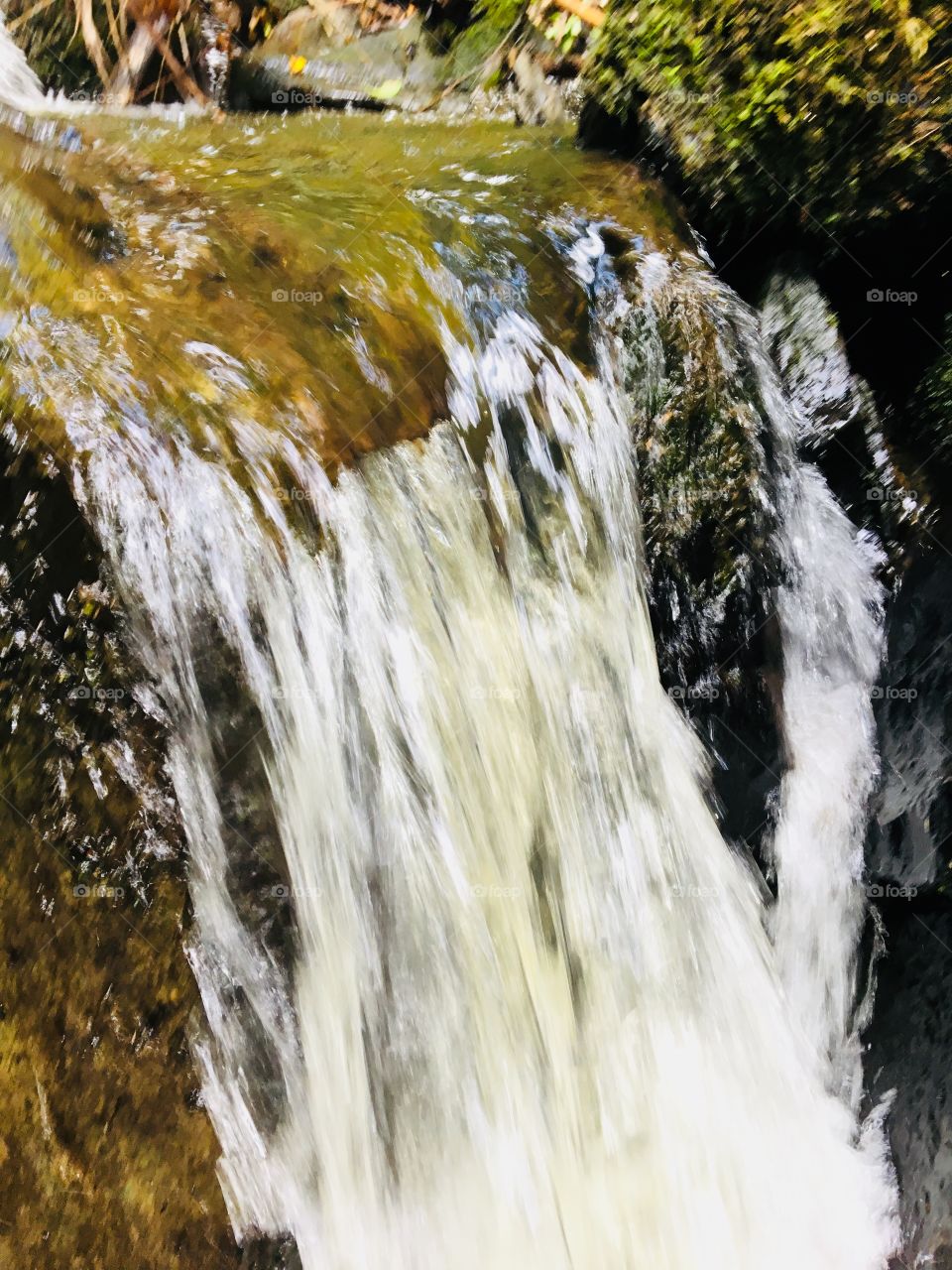 Who is your  first of your favorite 